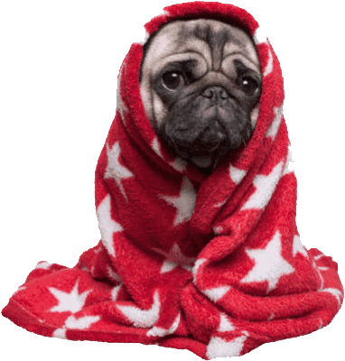 Complimentary Blankets